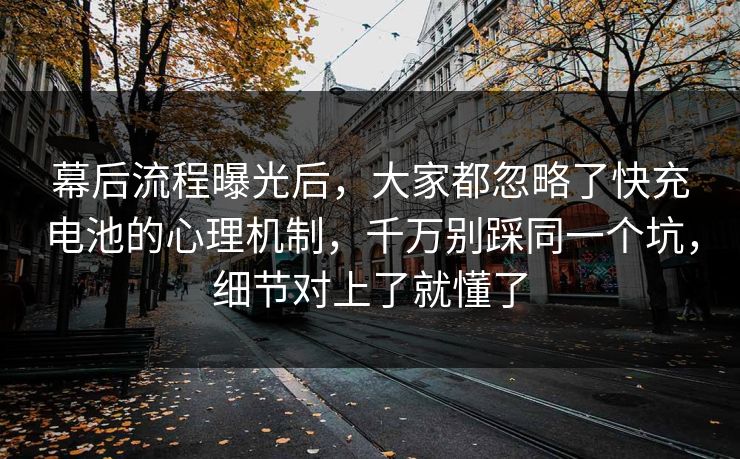 幕后流程曝光后，大家都忽略了快充电池的心理机制，千万别踩同一个坑，细节对上了就懂了